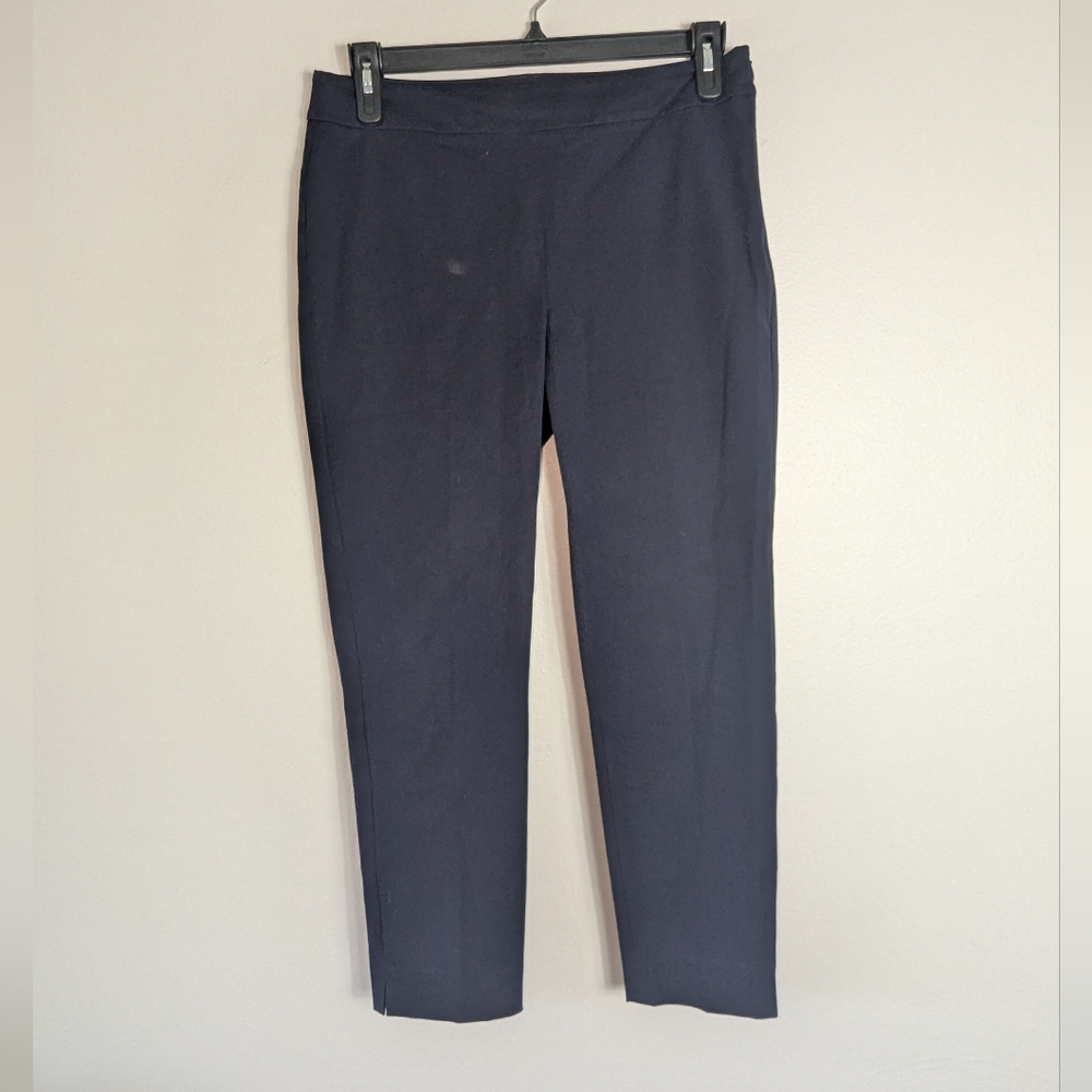10P Talbots Petites Navy Chatham Ankle Pants - Picture 2 of 5
